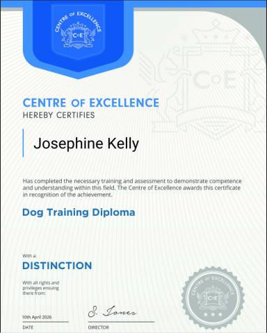 Dog Training Diploma