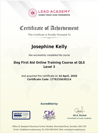 Dog First Aid Certificate